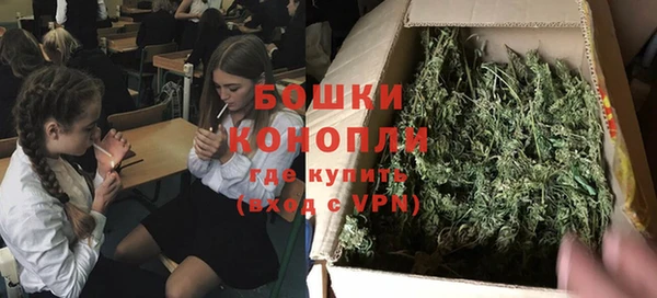 амф Аркадак